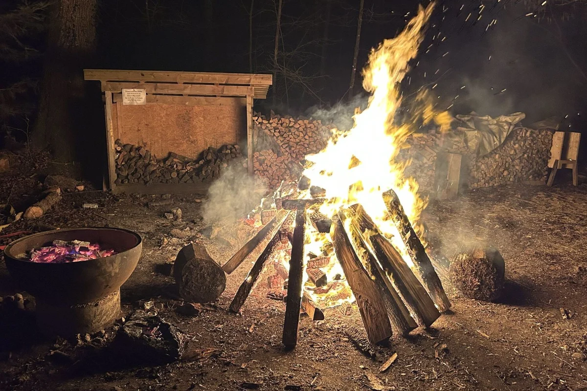 Goldau SZ – Drei Minderjährige verursachen Brand