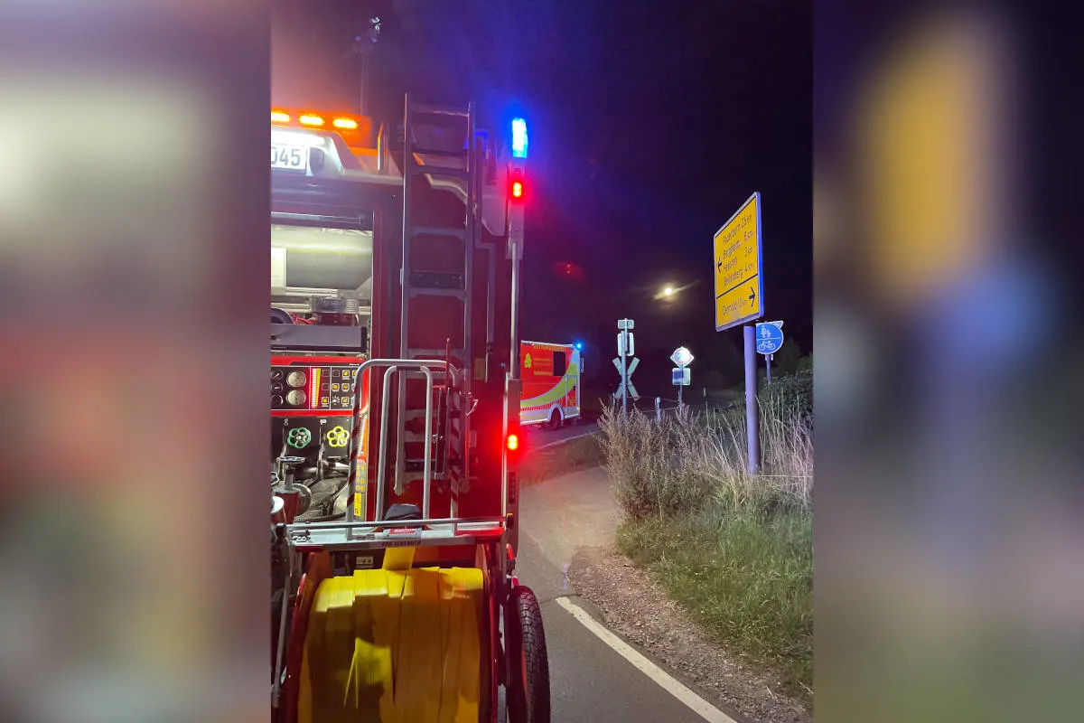 Horn-Bad Meinberg – Zugunfall mit Personenschaden bestätigt sich nicht - Rehbock tödlich verletzt