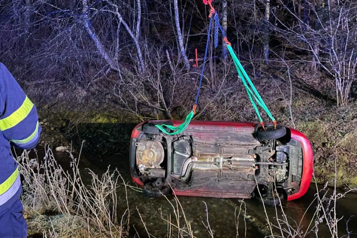Fladnitz an der Teichalm – Lenkerin weicht Fuchs aus und verunfallt