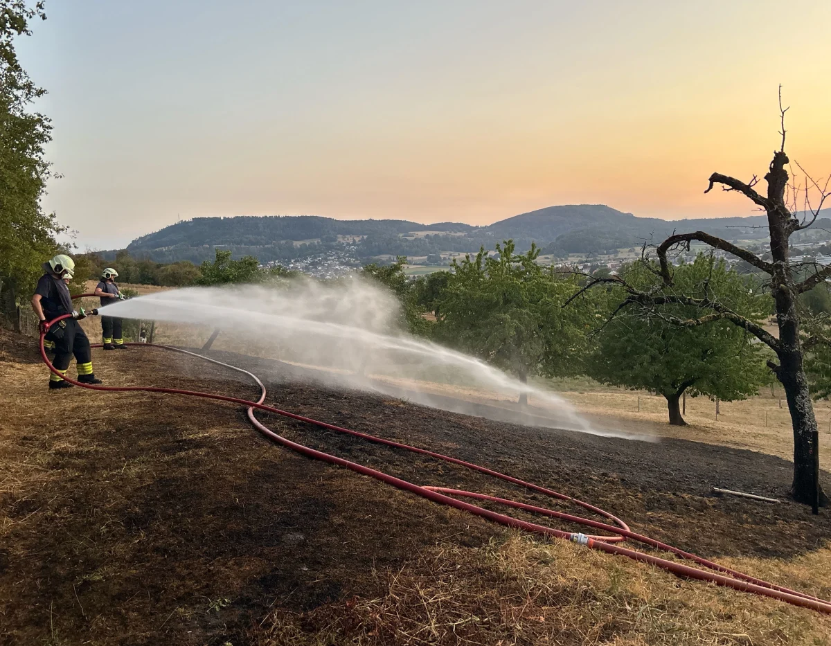 Zwei Feuerwehrleute sprühen Wasser auf einen verbrannten Wiesenabschnitt. Hügelige Landschaft im Hintergrund.