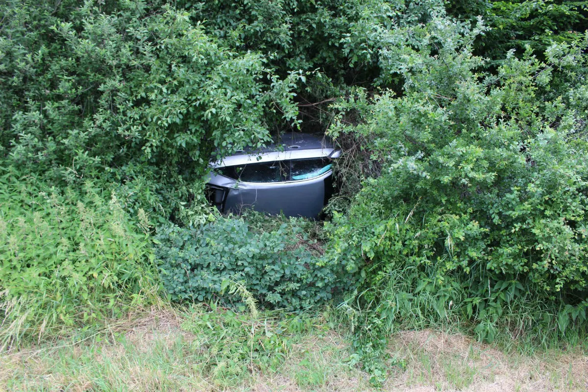 Eingeschlafen und nach Unfall im Wald gelandet