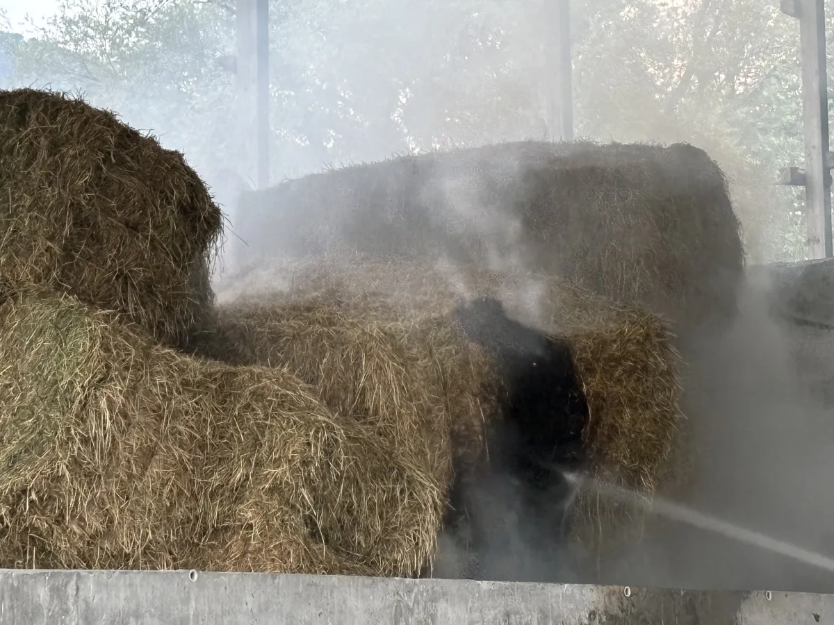 Mehrere Heuballen stehen in einem Unterstand, während ein Wasserschlauch sie löscht und Rauch aufsteigt.