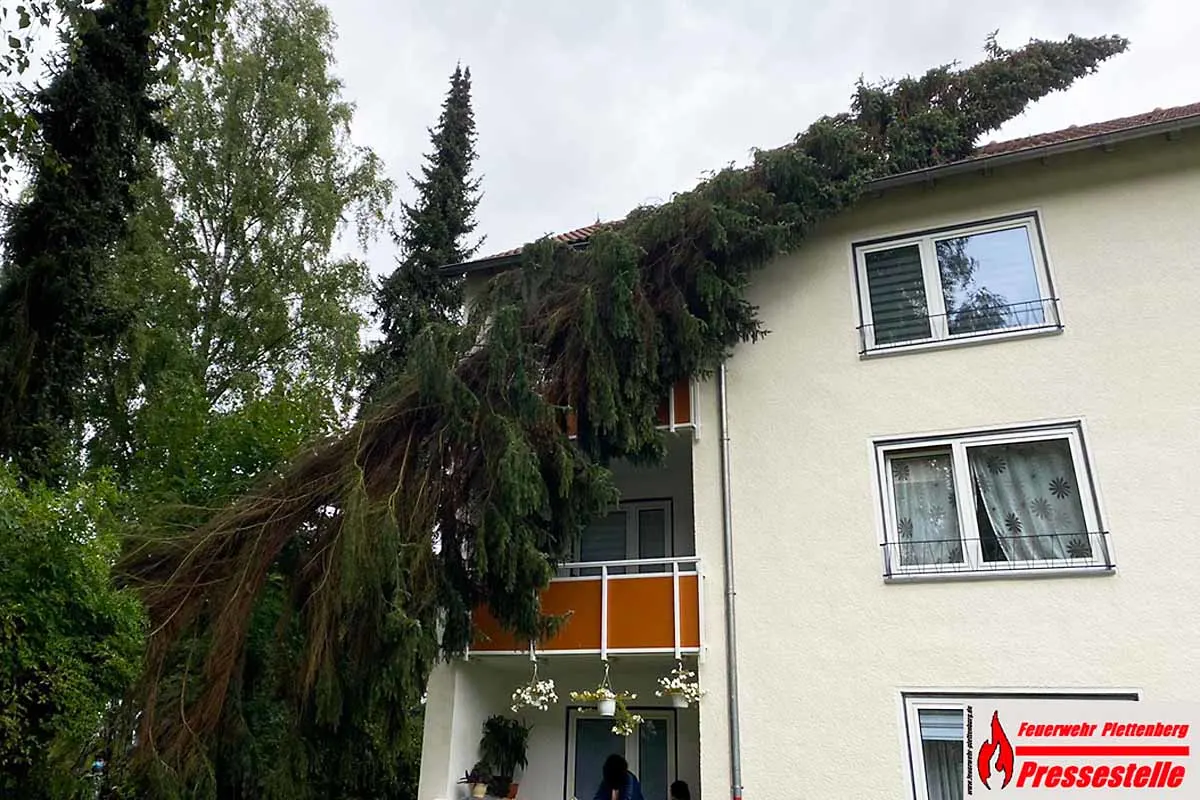 Kersmecke - Baum stürzt um und beschädigt Wohnhaus