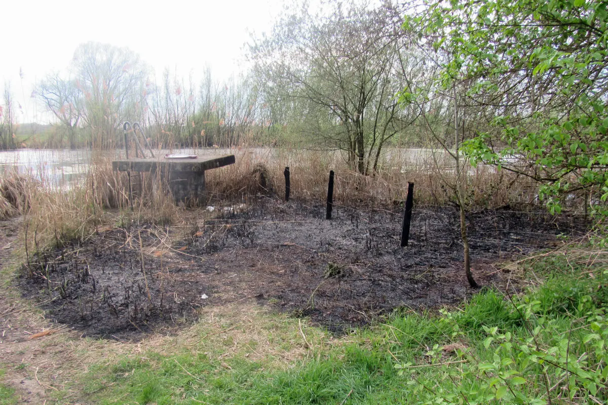 Jugendliche legen Feuer in Naturschutzgebiet