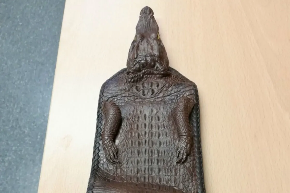 Geldbörse mit Biss/-Geldbörse aus Krokodiljungtier 