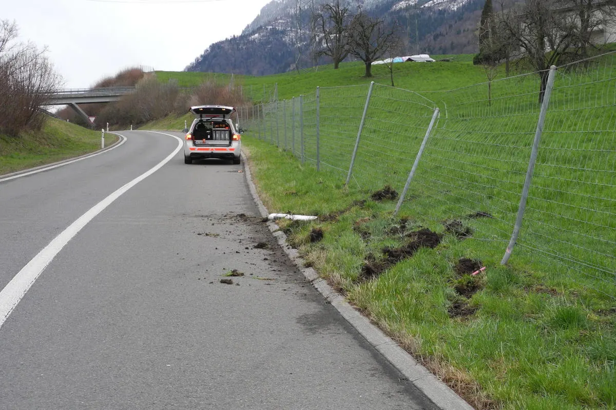 Küssnacht SZ – Mit Wildzaun kollidiert und weitergefahren – Zeugenaufruf