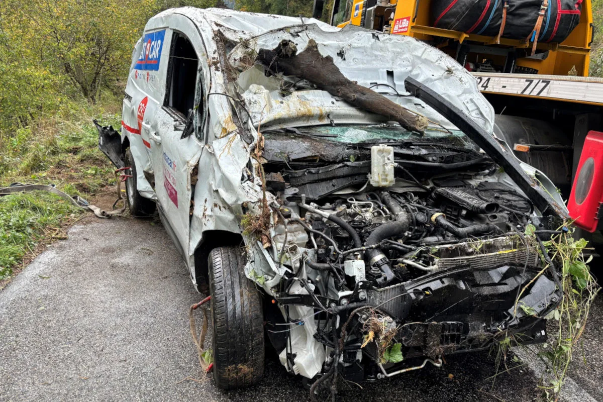 Ein stark beschädigtes Auto steht mit einem großen Ast im Motorraum auf einer ländlichen Straße. Um das Fahrzeug sind Vegetation und Erde sichtbar.