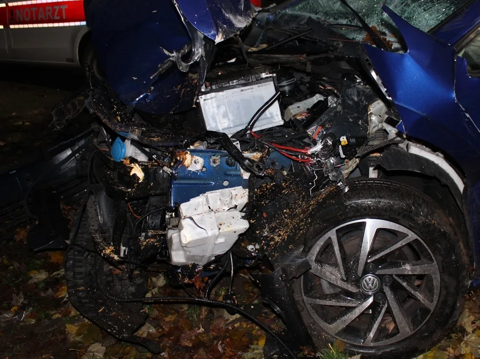 Petershagen – Auto kollidiert mit Straßenbaum