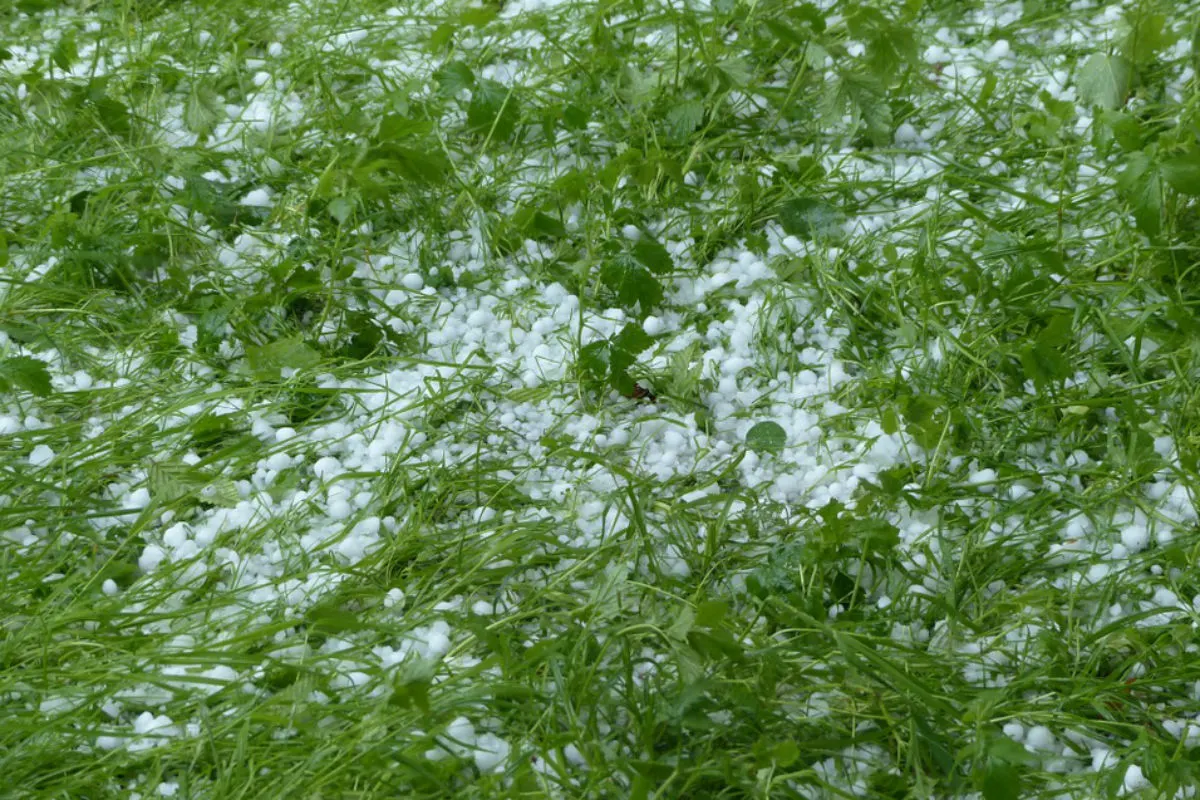 Sicherheitstipps zu Gewitter