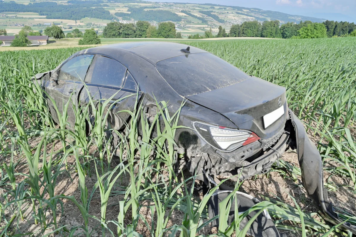 Ein schwarzer Mercedes mit sichtbaren Schäden steht in einem dicht bewachsenen Maisfeld. Die Umgebung zeigt eine ländliche Landschaft bei Tageslicht.