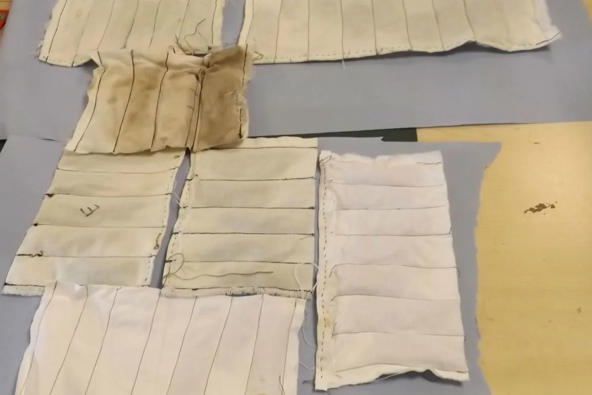 Speyer - Zoll entdeckt 39 lebende "Kanareneidechsen" in Postpaketen