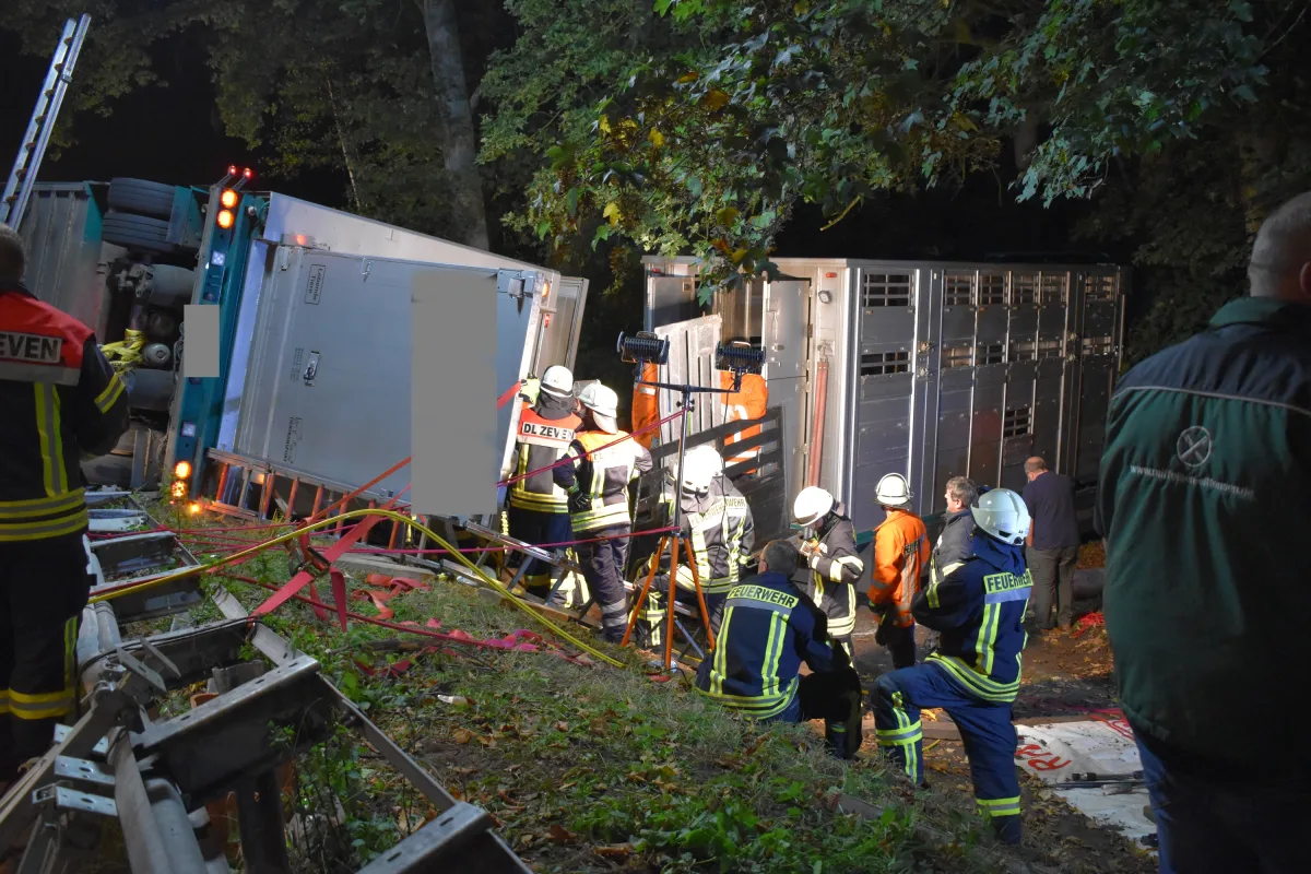 Rotenburg (Wümme) - Mehrere Schweine verenden nach Kipp-Unfall