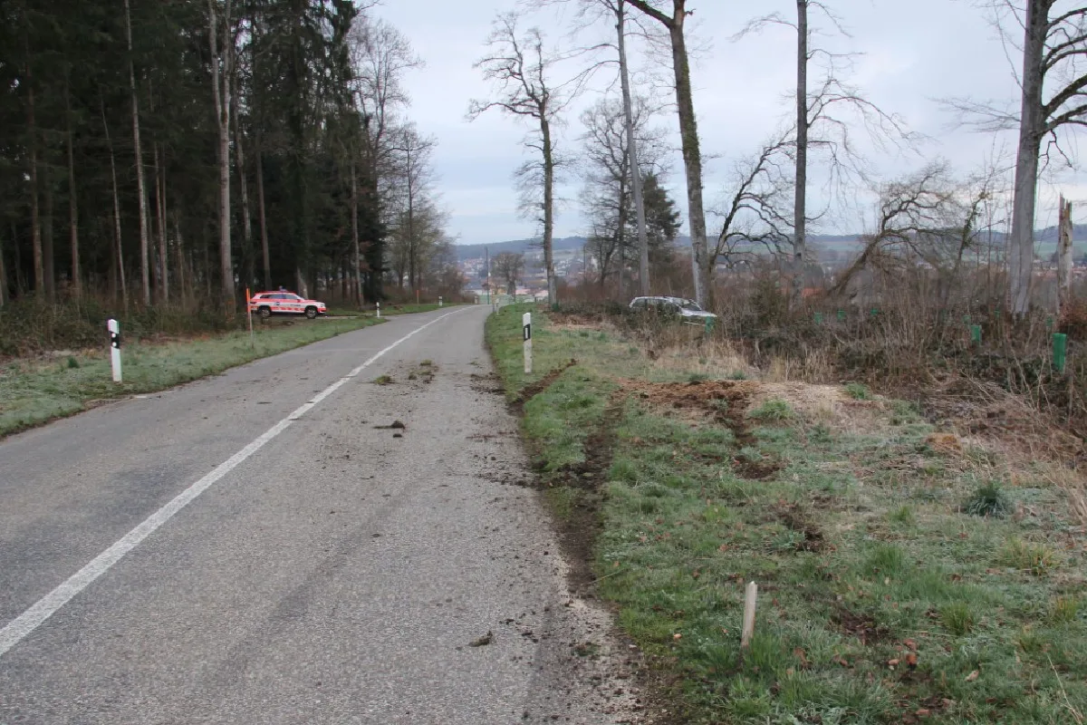Alle JU - Auto fährt in Baum