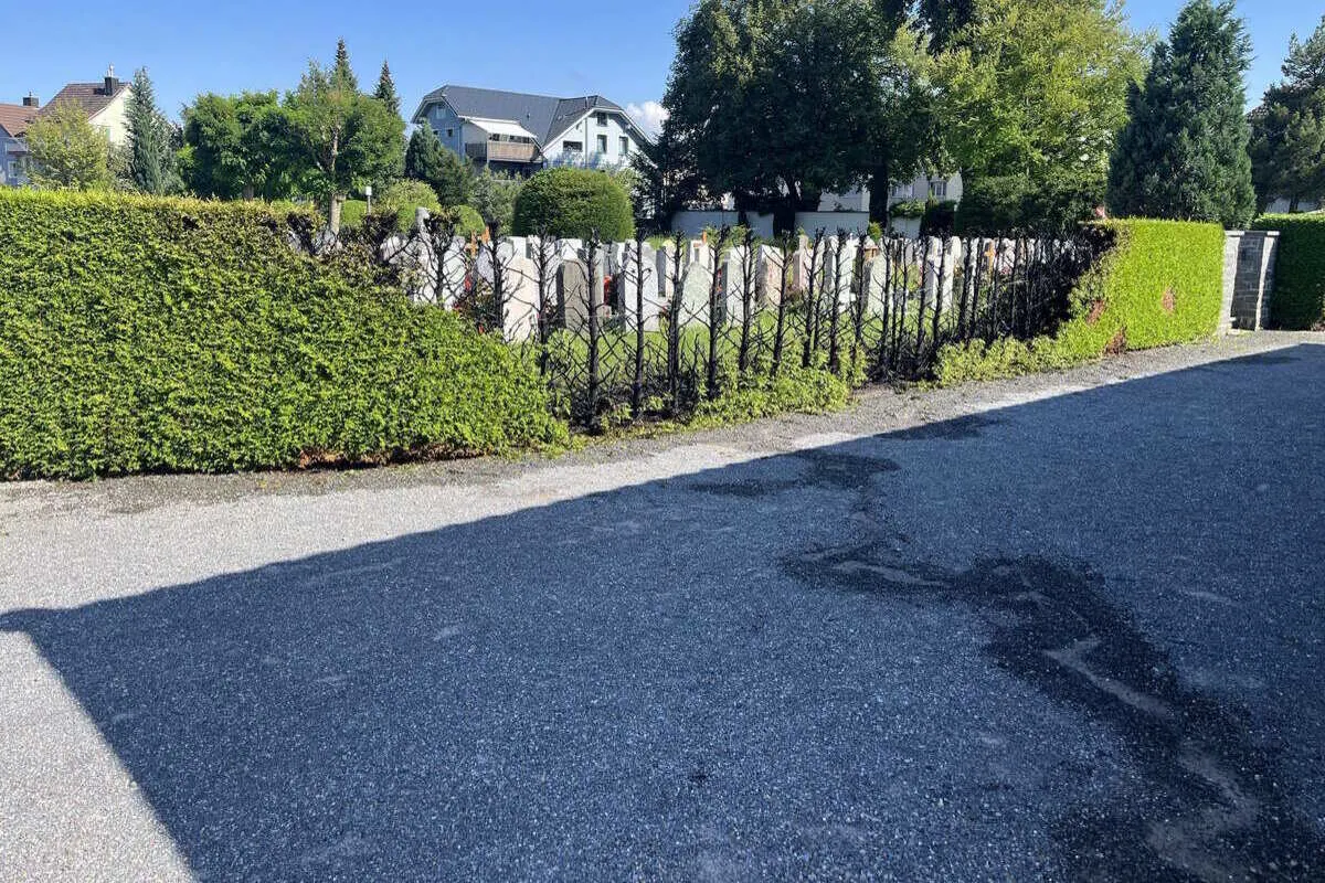 Widnau/Flawil SG - Hecken beim Abbrennen von Unkraut Feuer gefangen