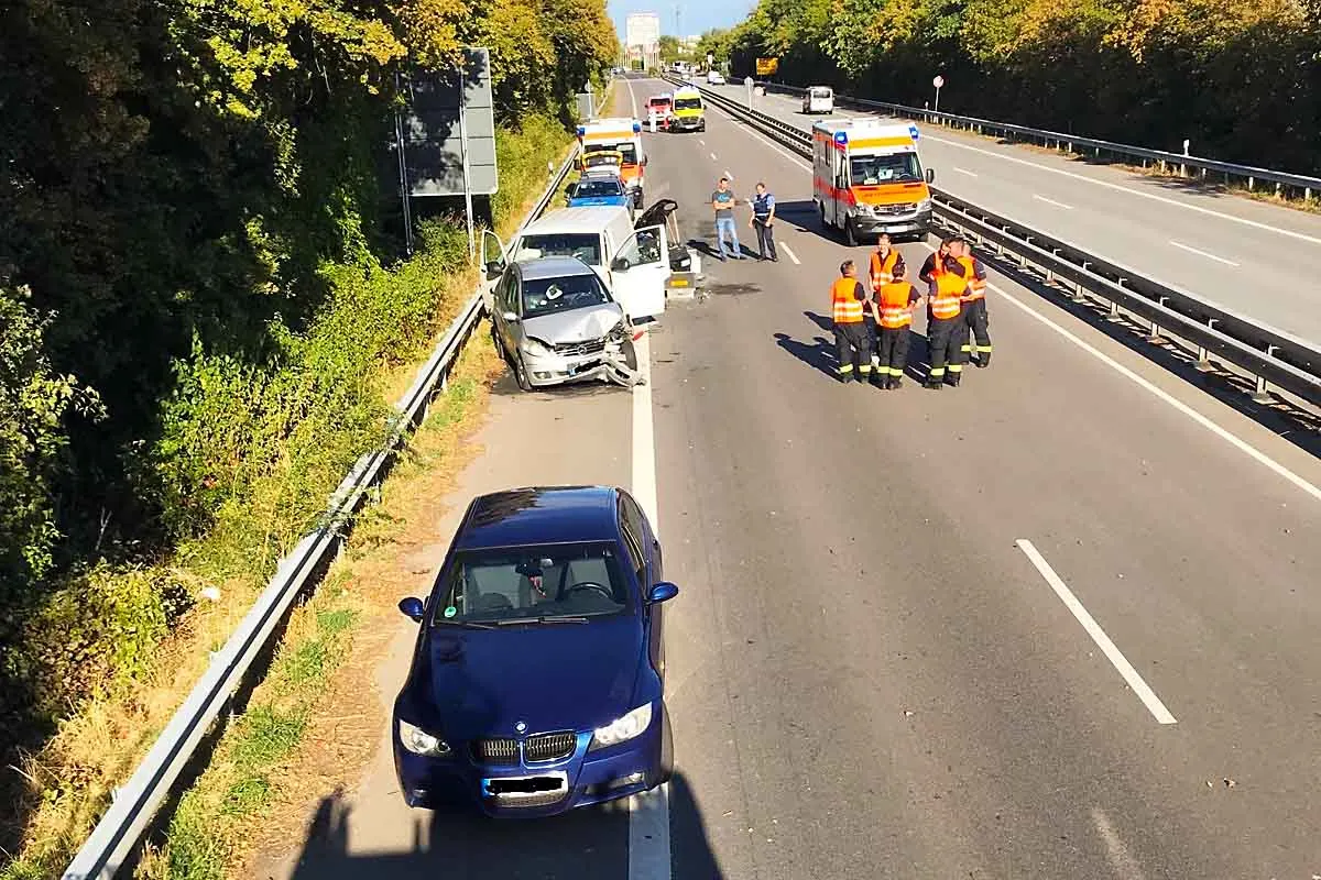 Mainz - Wespe verursacht Verkehrsunfall mit mehreren verletzten Personen
