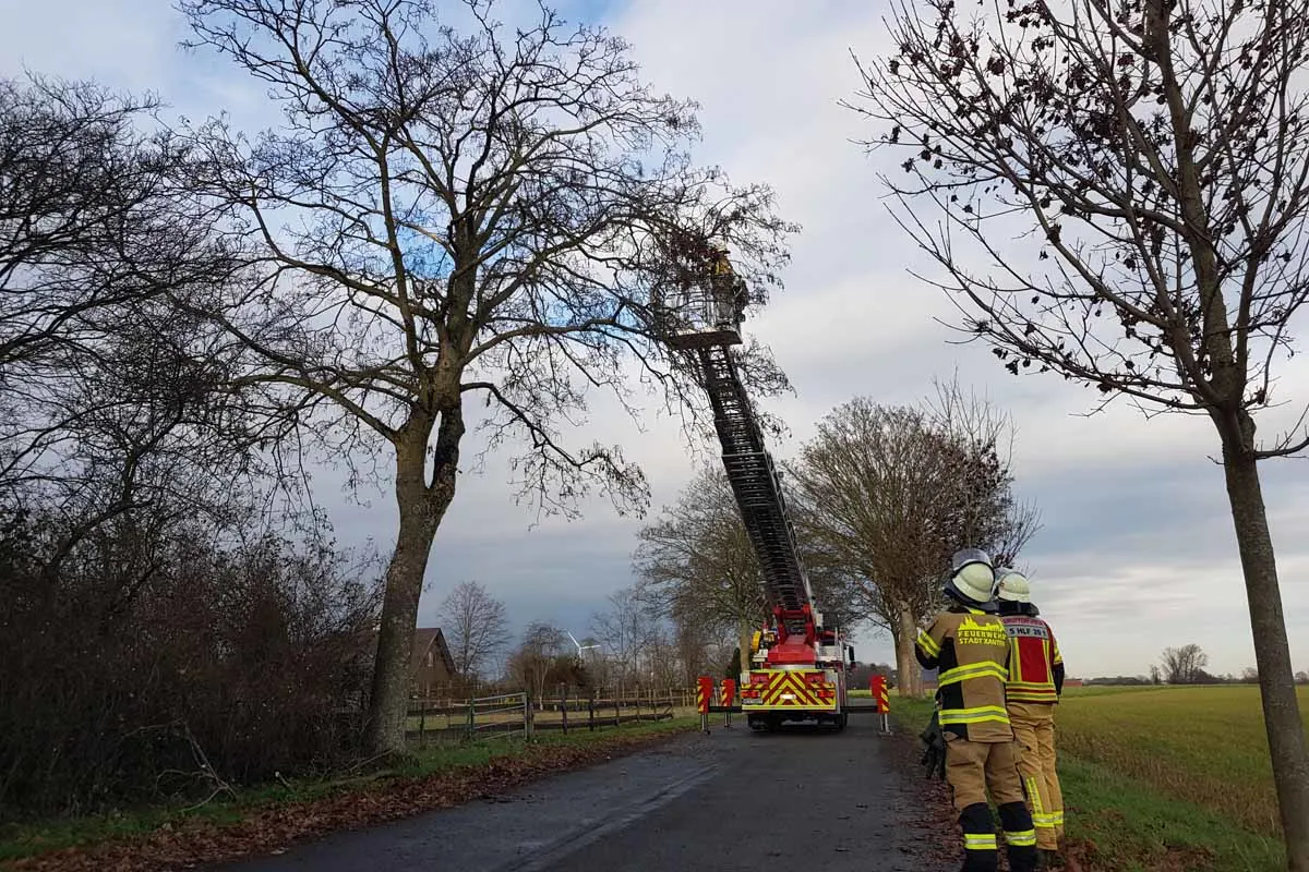 Xanten - Amtshilfe und Sturmschaden führten zu Einsätzen der Feuerwehr