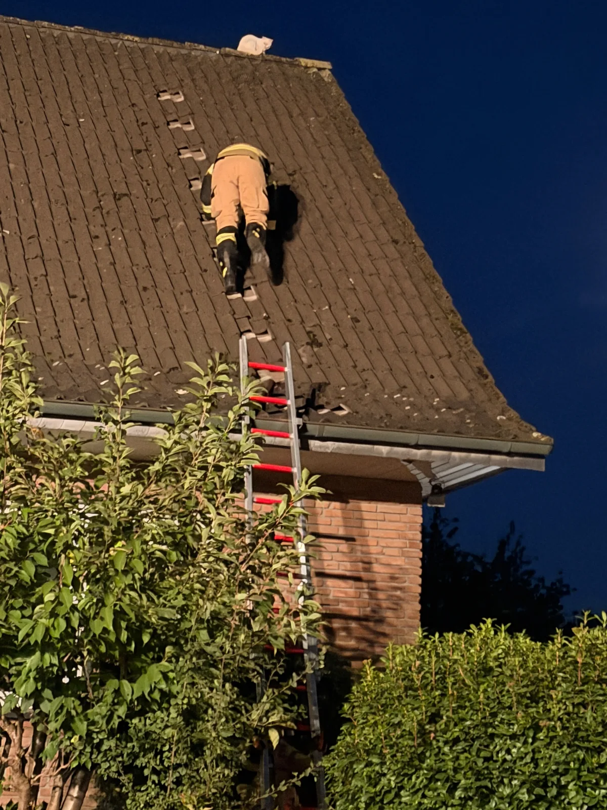 Ein Feuerwehrmann steigt bei Nacht eine Leiter zu einem Dach empor, um eine weiße Katze zu retten. Das Haus ist von Bäumen umgeben.