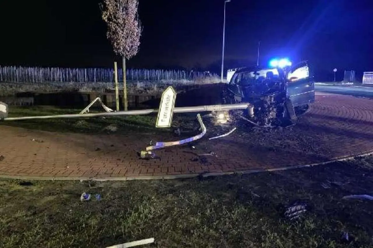 Unfall in Jork NI - Tier ausgewichen