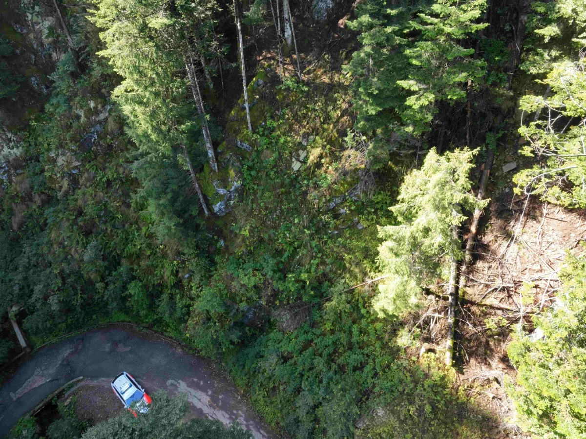 Ein Polizeifahrzeug ist in einer Kurve eines Waldweges abgebildet. Die Umgebung besteht aus dichtem Waldbewuchs.