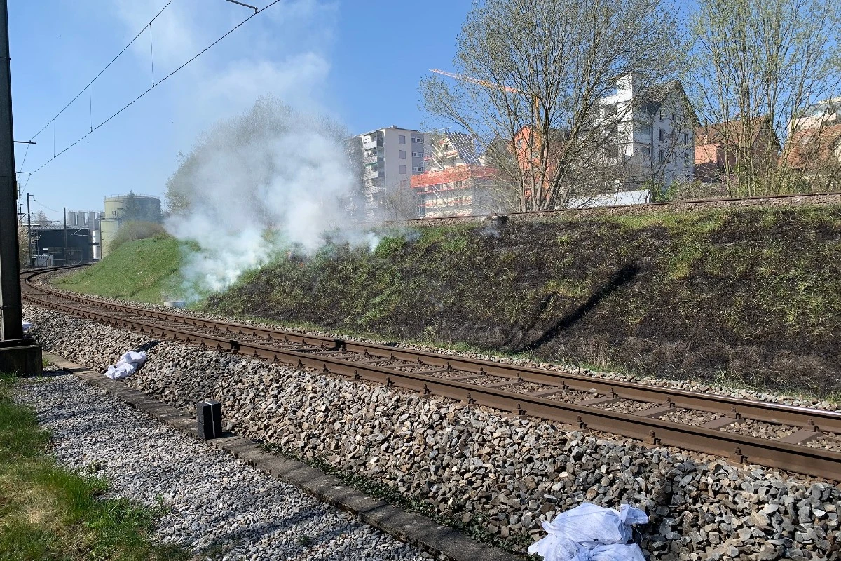 Neuhausen am Rheinfall SH - Wiesenbord in Brand geraten
