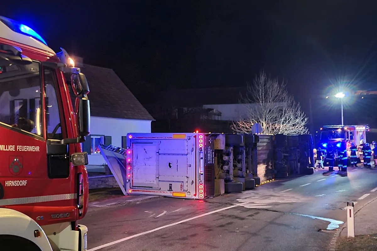 Hirnsdorf – Tiertransporter kippte um – mehrere Tiere verendet