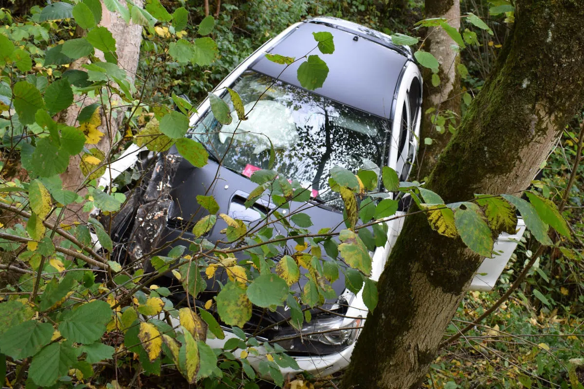 Unfall Hundwil AR - Personenwagen kommt zwischen Bäumen zum Stillstand
