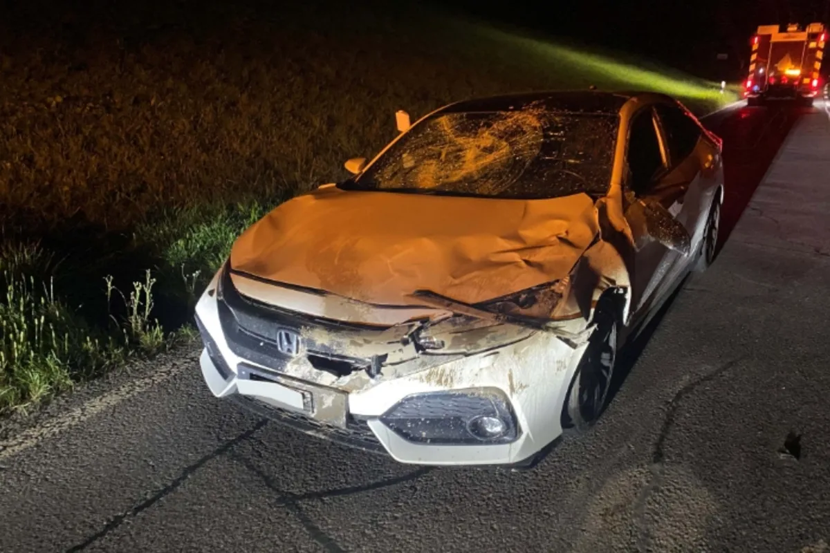 Neuheim ZG - Totalschaden nach Wildunfall 