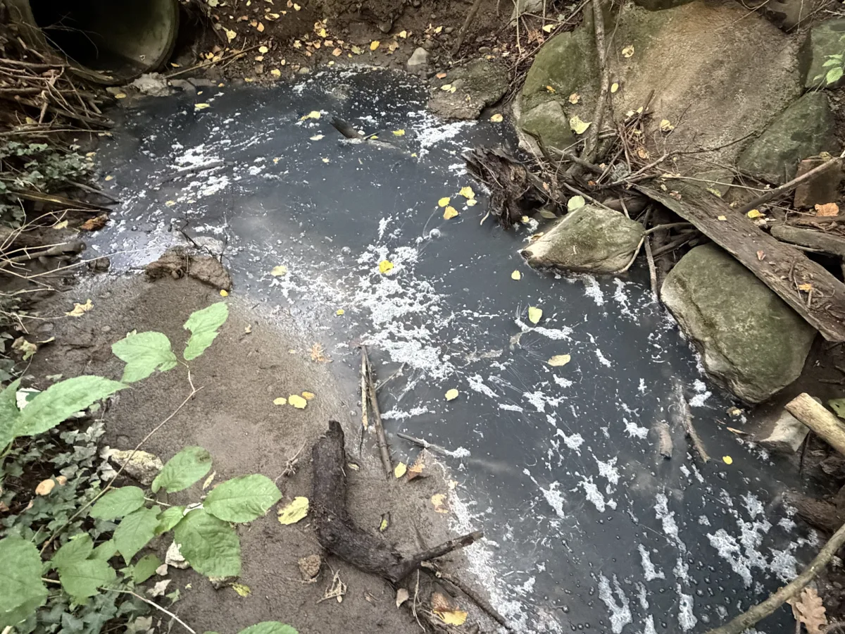 Ein Bach mit dunkler, ölverschmutzter Oberfläche, umgeben von Laub und Steinen. Ein Rohr mündet in den Bach.