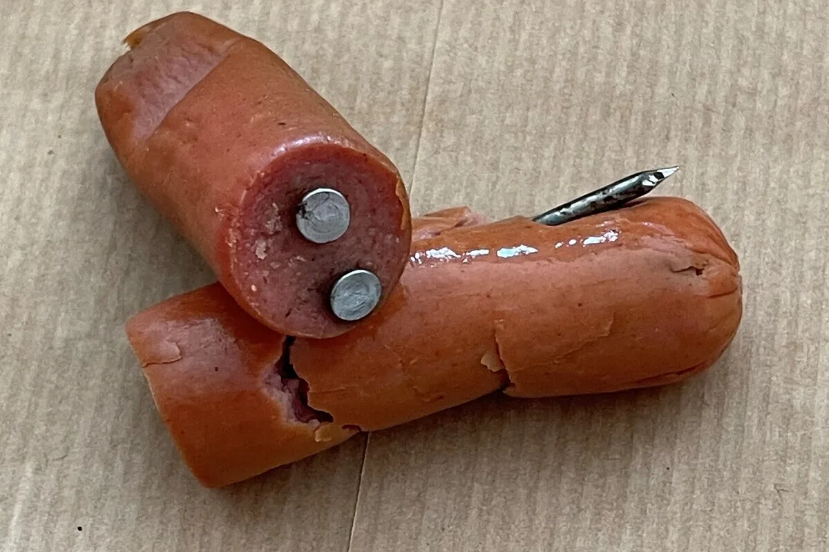 Buttikon SZ - Achtung, mit Nägeln durchsetzter Köder!