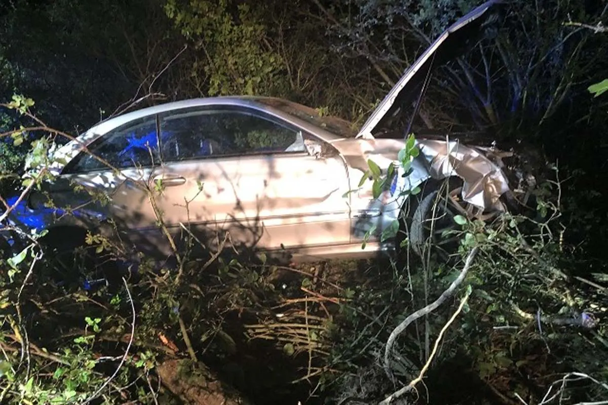 Flomborn – Wild ausgewichen und Unfall gebaut