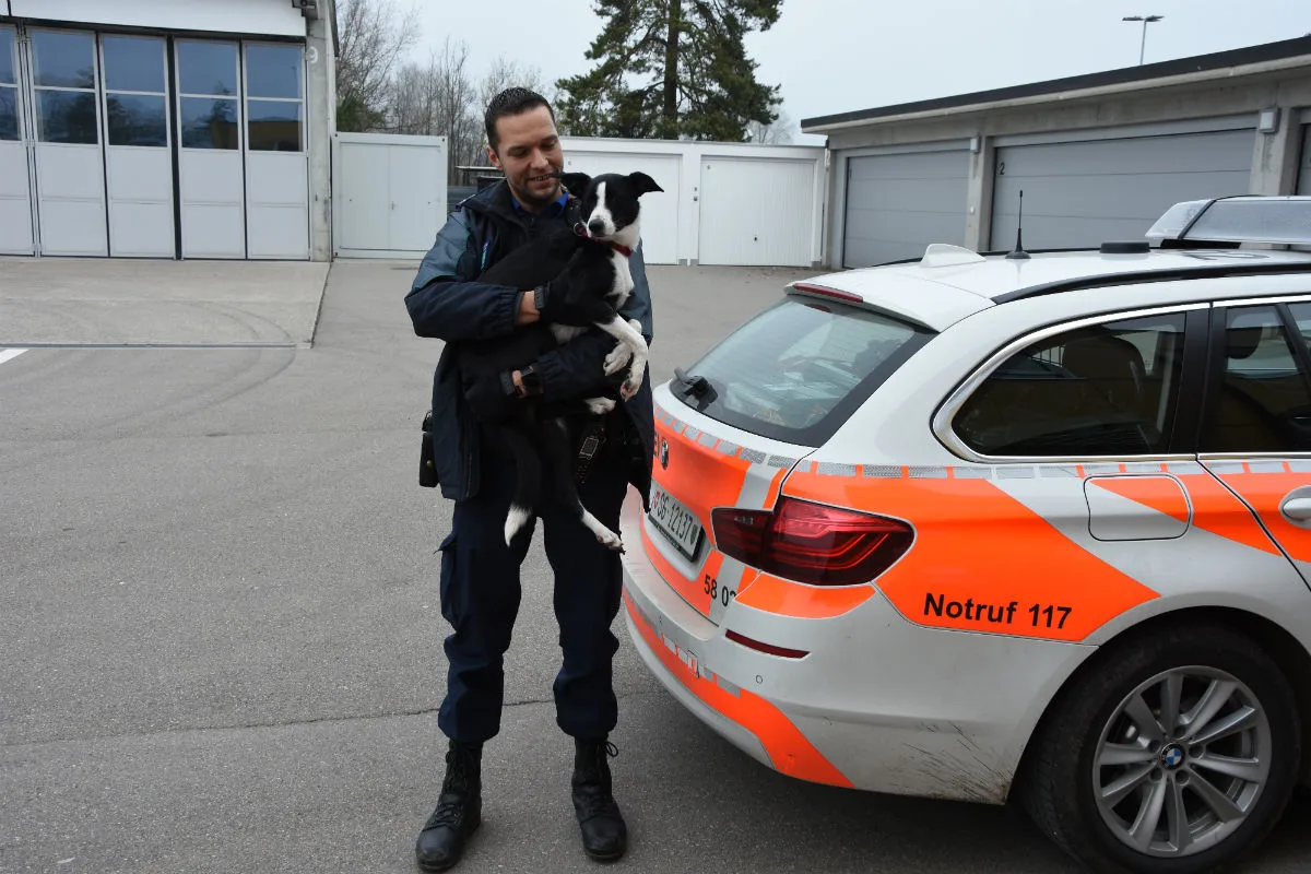 Oberbüren SG - Hund auf Autobahn löst Stau aus   