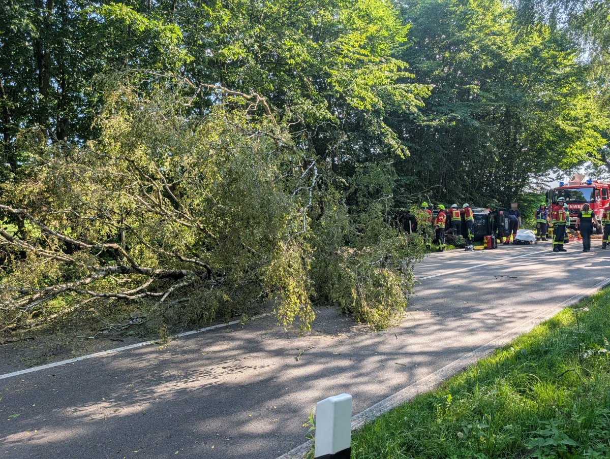 Ein großer Baum liegt quer über eine Straße, während mehrere Feuerwehrleute in roten Jacken das Hindernis beseitigen. Ein Feuerwehrfahrzeug ist ebenfalls sichtbar.
