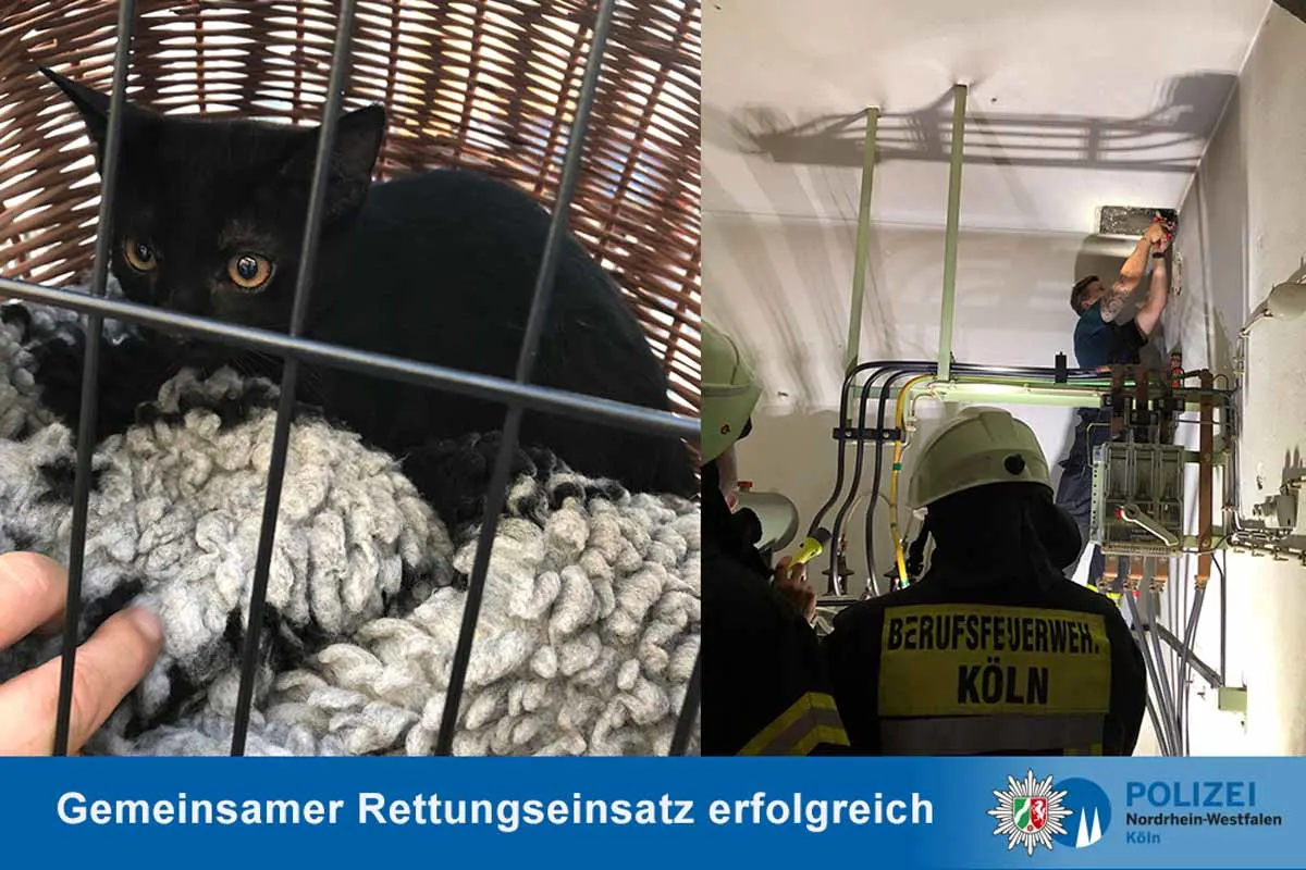  Köln - Absturz in 10 Meter tiefen Kaminschacht - Rettungseinsatz erfolgreich