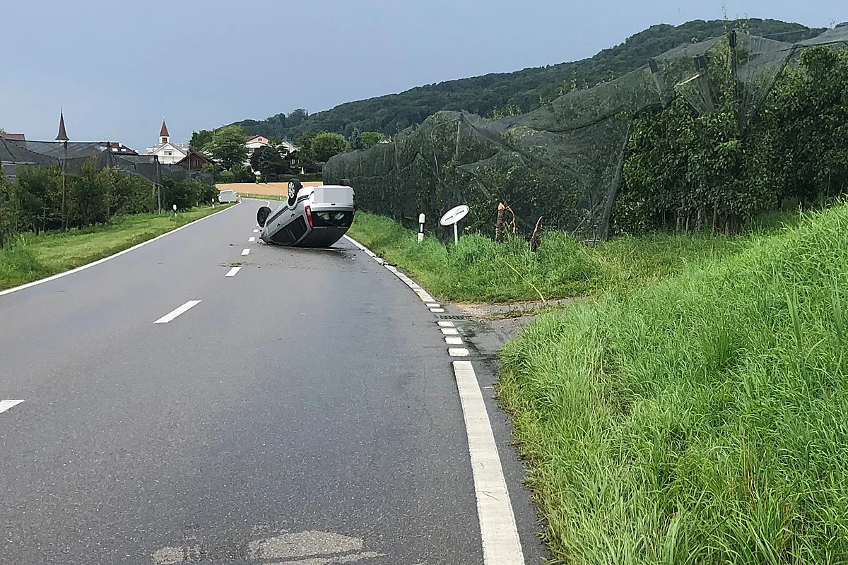 Mammern TG  - Sekundenschlaf führt zu Crash gegen Bäume