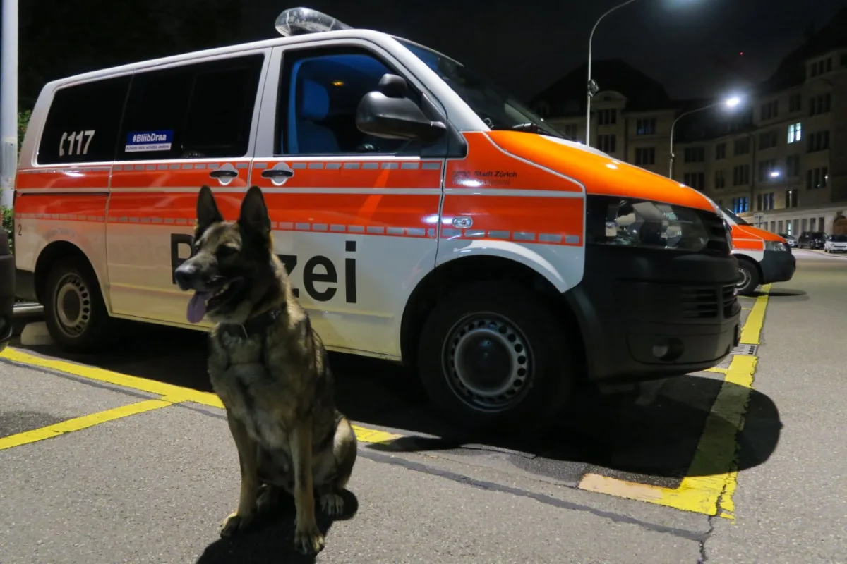 Erfolgreicher Polizeihund in Zürich - "Romulus" stellt Coop-Einbrecher - drei Personen verhaftet