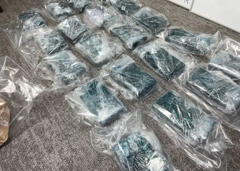 Eine Vielzahl von rechteckigen Paketen, in Plastik verpackt, liegt auf einem Teppichboden, möglicherweise konfisziertes Material.