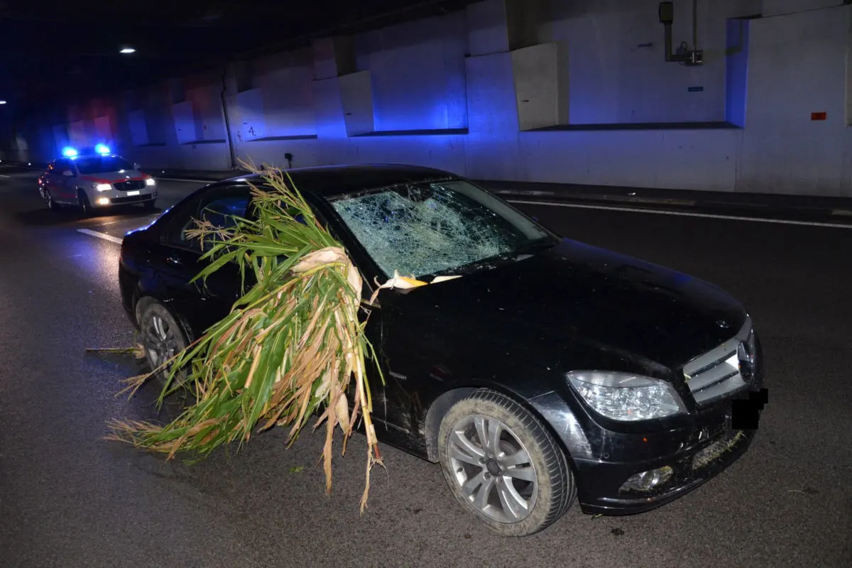 Muttenz BL - Alkoholisierter Fahrzeuglenker nach Selbstunfall gestoppt