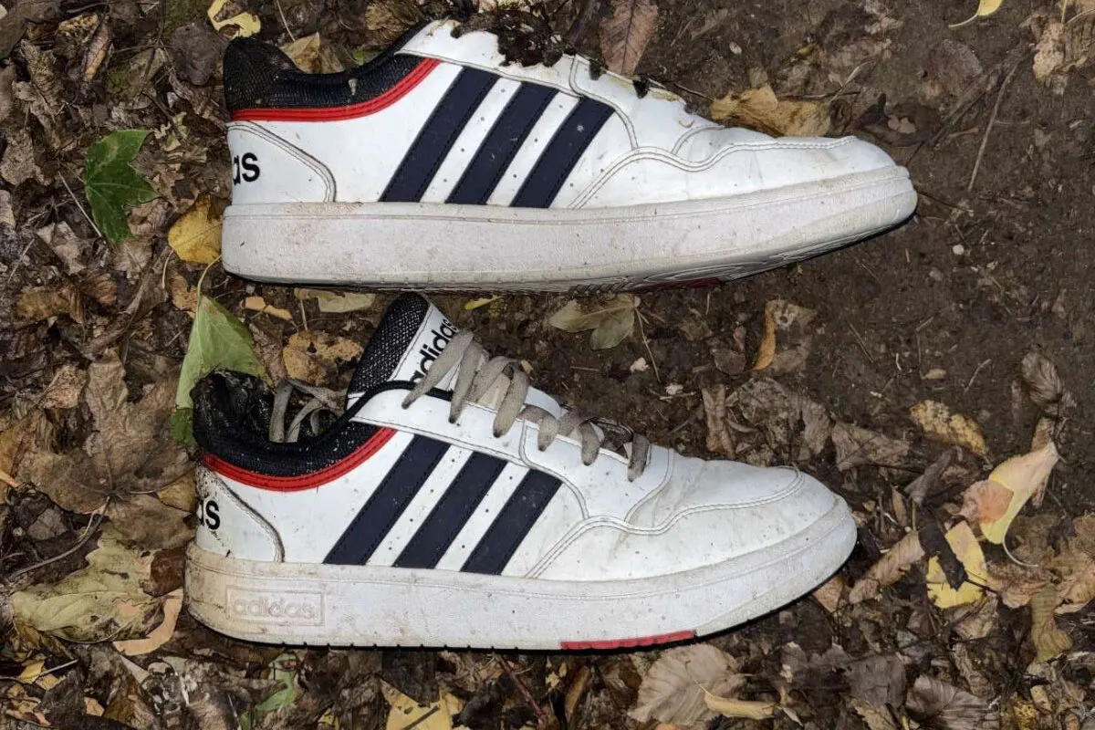 Zwei weiße Turnschuhe mit schwarzen Streifen und rotem Detail liegen auf einem Waldboden mit herbstlichem Laub.