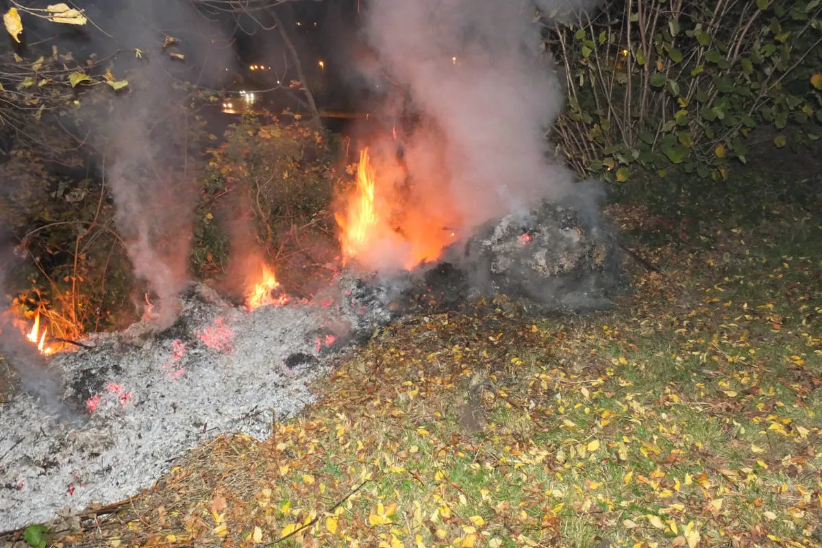 Rheineck SG - Büsche in Brand geraten