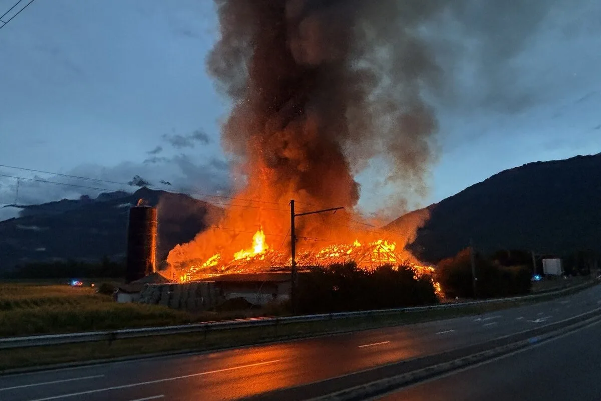 St-Triphon VD – Mehrere Gänse sterben bei Brand auf Bauernhof