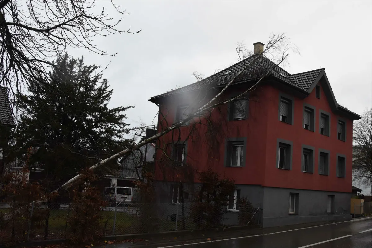 Kanton SG - Baum fällt auf Hausdach