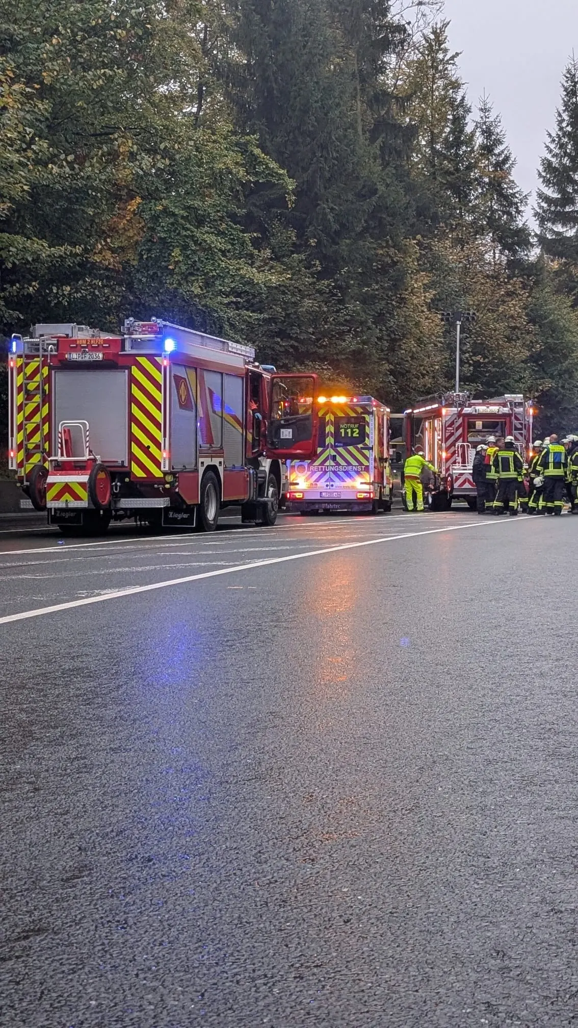 Auf einer nassen Straße am Waldrand sind mehrere Feuerwehrfahrzeuge und ein Rettungsdienstwagen im Einsatz. Feuerwehrleute in Schutzkleidung stehen in der Nähe der Fahrzeuge.