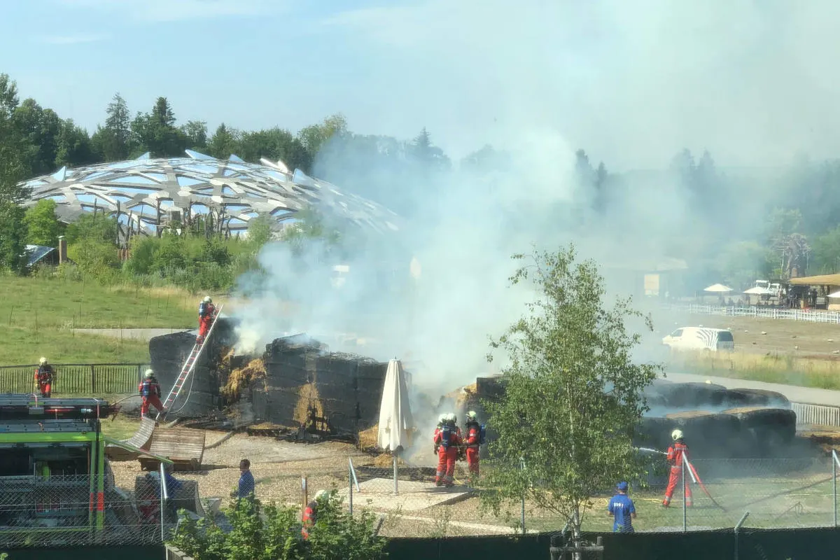 Stadt Zürich – Brand im Zoo