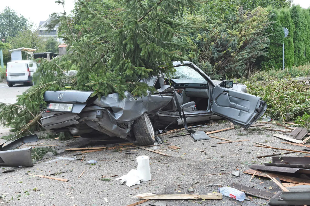 Tägerschen TG - 36-Jähriger prallt mit voller Wucht in Baum!
