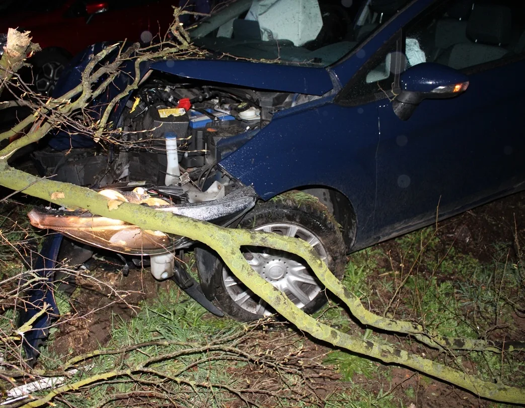 Petershagen: Reh ausgewichen - Auto kollidiert mit Baum