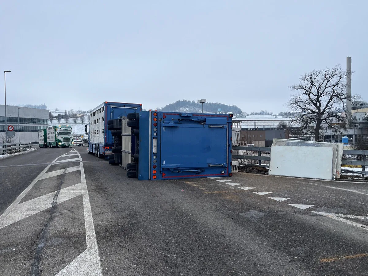Unfall in Bazenheid SG: Anhänger mit 100 Schweinen umgekippt