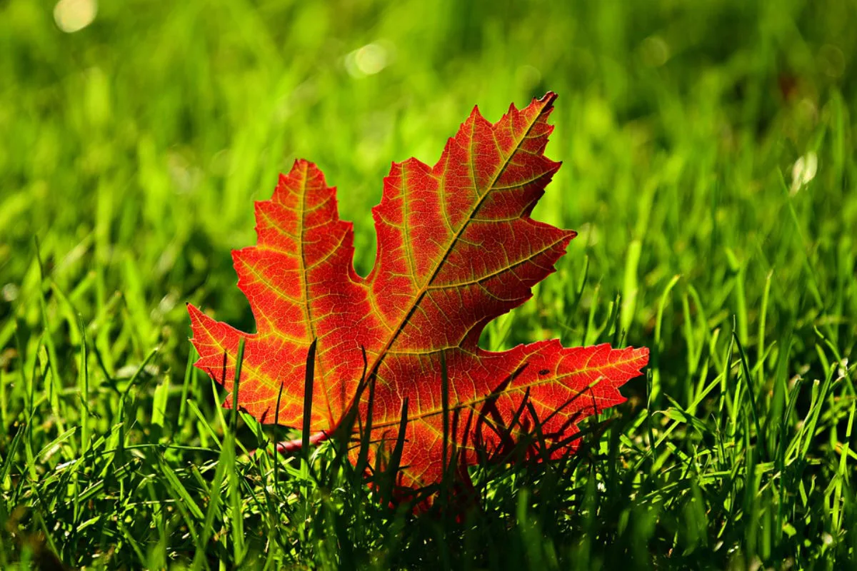 Die ersten Herbststürme im Anmarsch