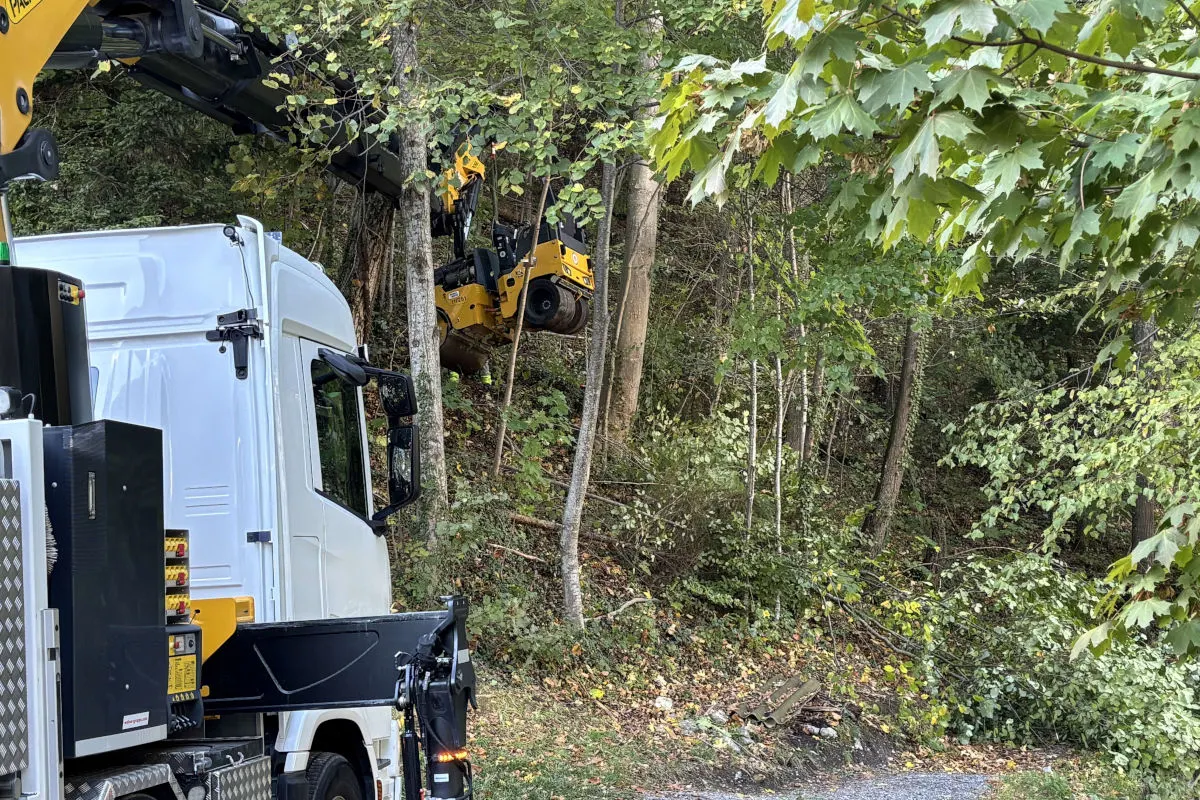 Ein weißer Lastwagen mit einem gelben Kran steht an einer bewaldeten Böschung, während der Greifarm einen Baum umfasst.