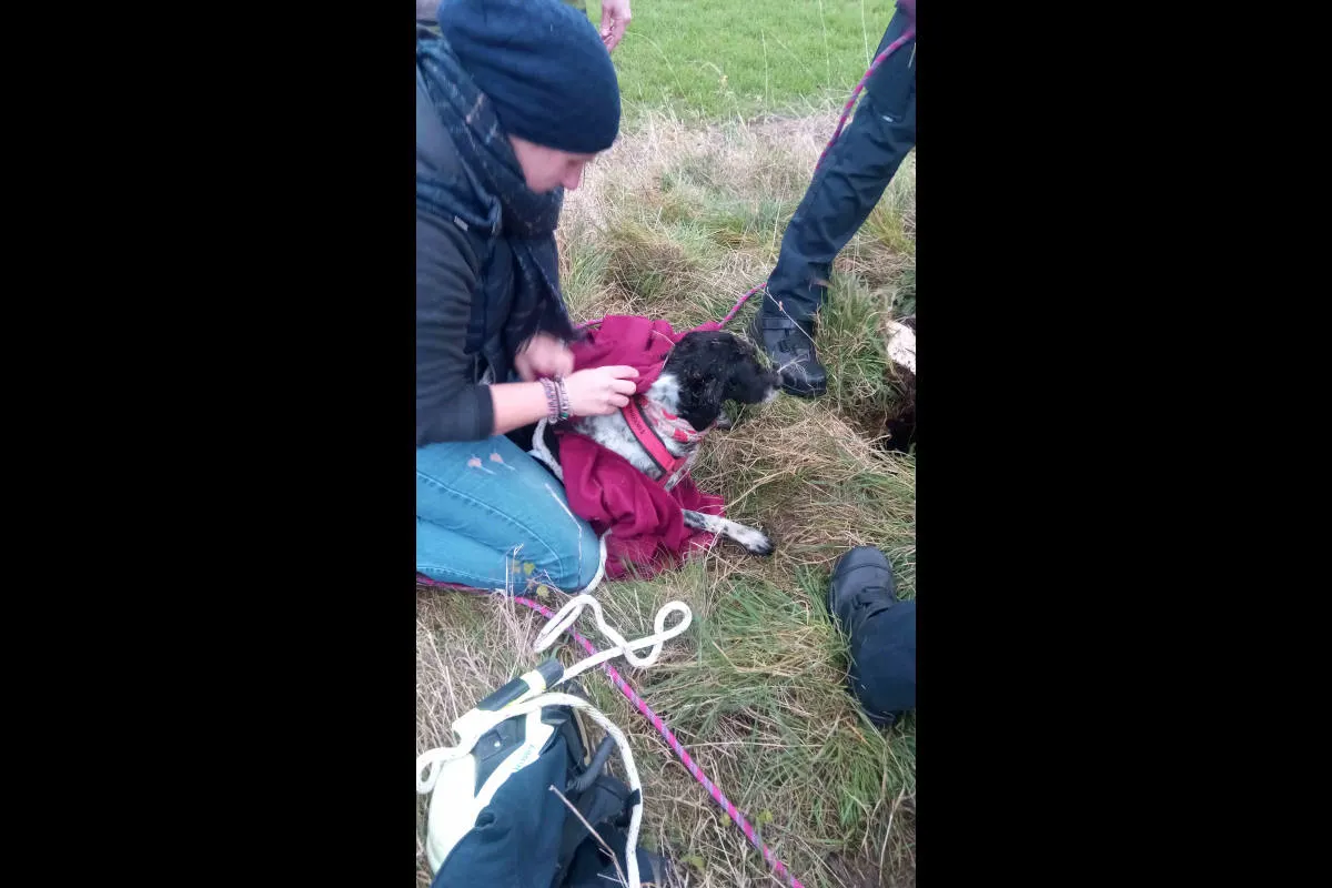 Tierrettung in Witten – Hund stützt drei Meter tief in Kanalschacht