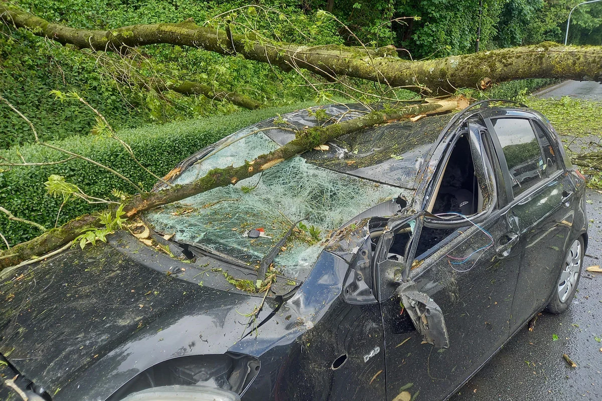Das Bild zeigt ein schwarzes Auto, dessen Windschutzscheibe von einem umgestürzten Baum zertrümmert wurde. Der Baumstamm liegt diagonal über dem Auto, und das Auto ist von herabgefallenen Zweigen und Blättern umgeben.